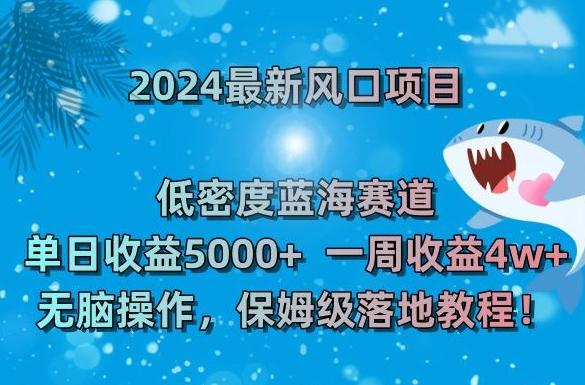 2024最新风口项目，低密度蓝海赛道，单日收益5000+，一周收益4w+！【揭秘】-天娱网创