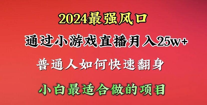 (10020期)2024年最强风口，通过小游戏直播月入25w+单日收益5000+小白最适合做的项目-天娱网创