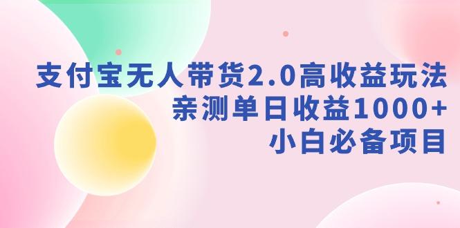 支付宝无人带货2.0高收益玩法，亲测单日收益1000+，小白必备项目-天娱网创