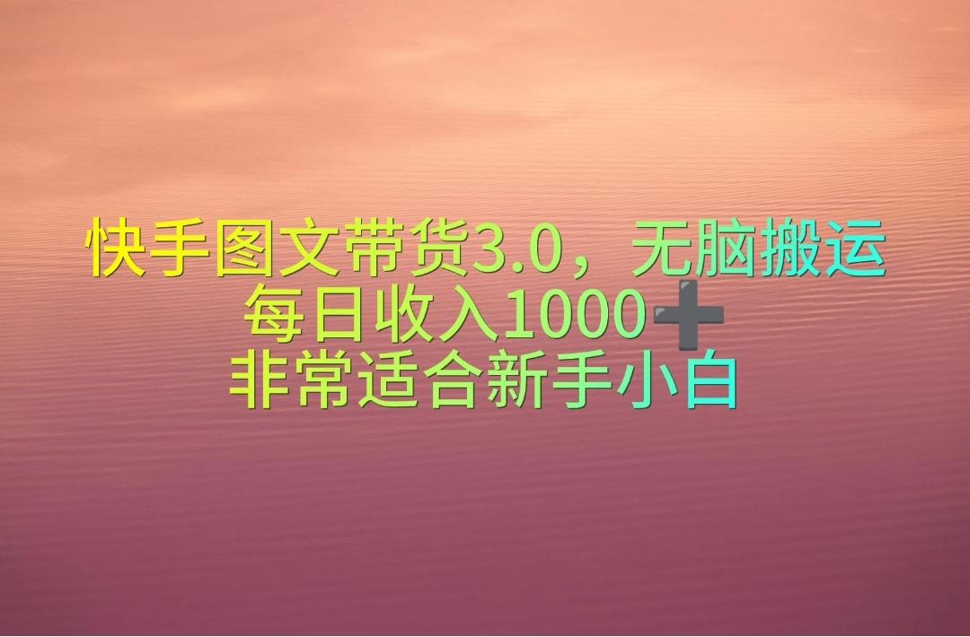 快手图文带货3.0，无脑搬运，每日收入1000＋，非常适合新手小白-天娱网创