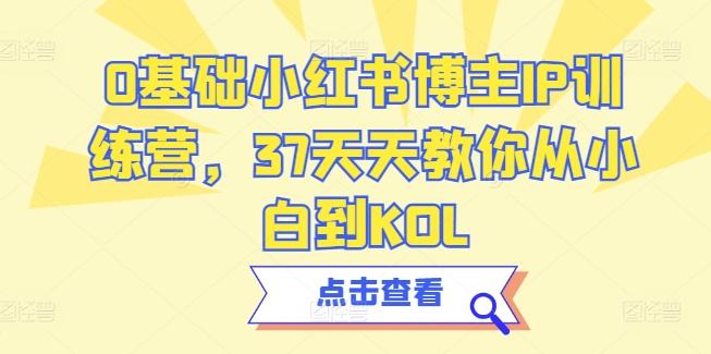 0基础小红书博主IP训练营，37天天教你从小白到KOL-天娱网创