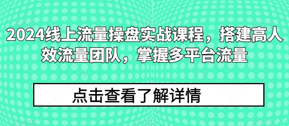2024线上流量操盘实战课程，搭建高人效流量团队，掌握多平台流量-天娱网创