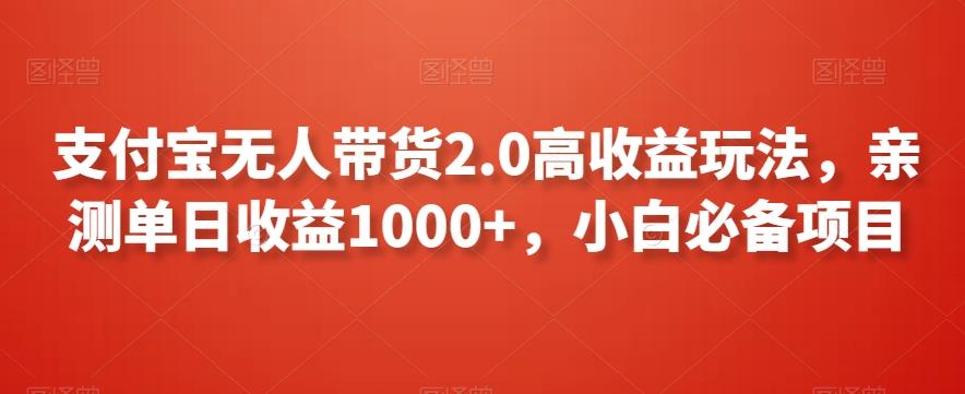 支付宝无人带货2.0高收益玩法，亲测单日收益1000+，小白必备项目【揭秘】-天娱网创