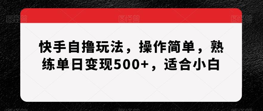 快手自撸玩法，操作简单，熟练单日变现500+，适合小白【揭秘】-天娱网创