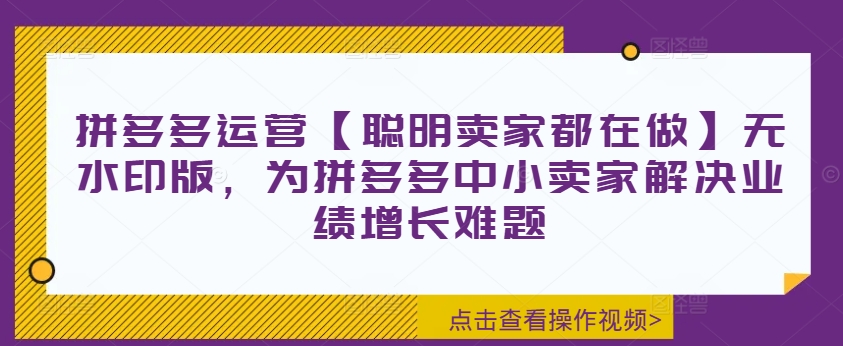 拼多多运营【聪明卖家都在做】无水印版，为拼多多中小卖家解决业绩增长难题-天娱网创