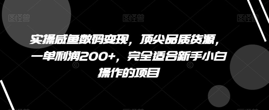 实操咸鱼数码变现，顶尖品质货源，一单利润200+，完全适合新手小白操作的项目【揭秘】-天娱网创