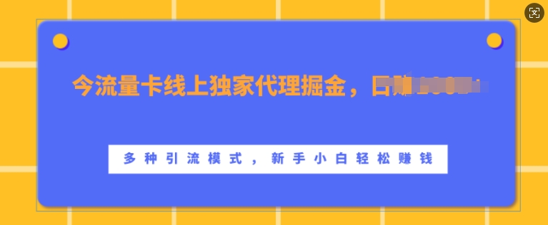 流量卡线上独家代理掘金，日入1k+ ，多种引流模式，新手小白轻松上手【揭秘】-天娱网创