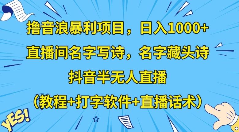 撸音浪暴利项目，日入1000+，直播间名字写诗，名字藏头诗，抖音半无人直播（教程+打字软件+直播话术）【揭秘】-天娱网创