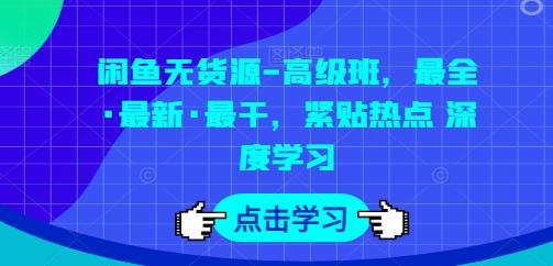 闲鱼无货源-高级班，最全·最新·最干，紧贴热点 深度学习-天娱网创