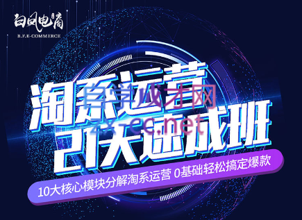 淘系运营21天速成班(更新24年5月)-天娱网创