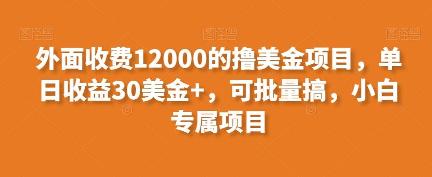 外面收费12000的撸美金项目，单日收益30美金+，可批量搞，小白专属项目-天娱网创