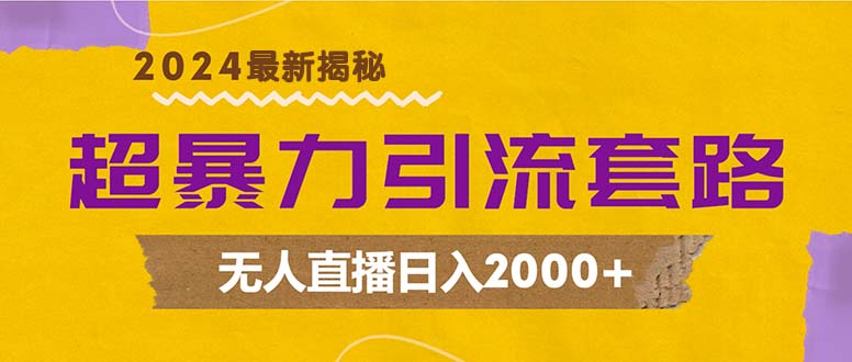 超暴力引流套路，无人直播日入2000+-天娱网创