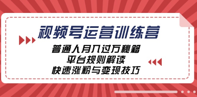 视频号运营训练营：普通人月入过万秘籍，平台规则解读，快速涨粉与变现-天娱网创