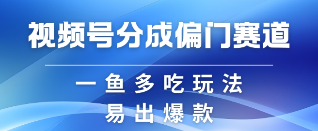 视频号创作者分成计划偏门类目，容易爆流，实拍内容简单易做【揭秘】-天娱网创