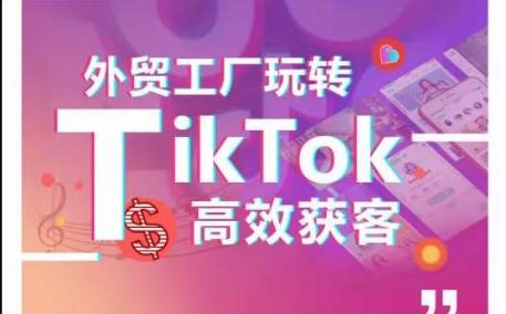 外贸工厂玩转TikTok高效获客，多种引流方式与账号定位技巧，拆解爆款短视频打造成功案例-天娱网创