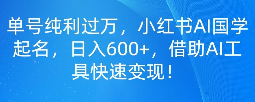 单号纯利过万，小红书AI国学起名，日入600+，借助AI工具快速变现-天娱网创