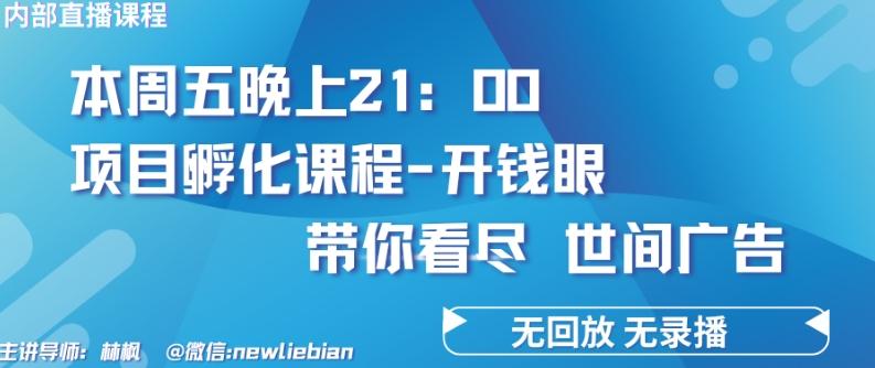 4.26日内部回放课程《项目孵化-开钱眼》赚钱的底层逻辑【揭秘】-天娱网创