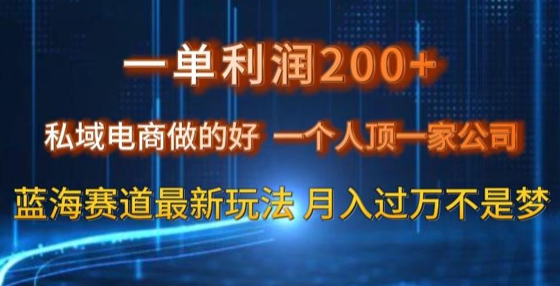 一单利润200私域电商做的好，一个人顶一家公司蓝海赛道最新玩法【揭秘】-天娱网创