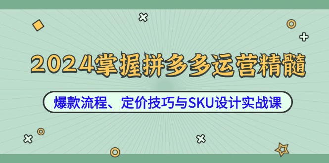 2024掌握拼多多运营精髓：爆款流程、定价技巧与SKU设计实战课-天娱网创