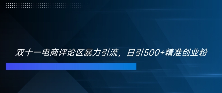 双十一电商评论区暴力引流，日引500+精准创业粉【揭秘】-天娱网创