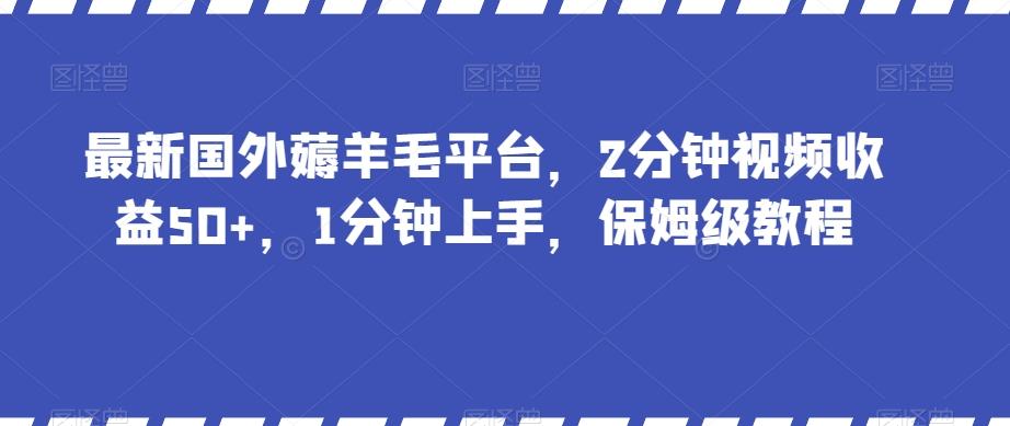 最新国外薅羊毛平台，2分钟视频收益50+，1分钟上手，保姆级教程【揭秘】-天娱网创