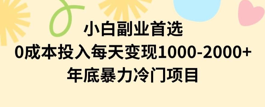小白副业首选，0成本投入，每天变现1000-2000年底暴力冷门项目【揭秘】-天娱网创