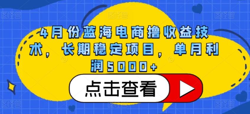 4月份蓝海电商撸收益技术，长期稳定项目，单月利润5000+【揭秘】-天娱网创