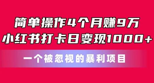 简单操作4个月赚9w，小红书打卡日变现1k，一个被忽视的暴力项目【揭秘】-天娱网创