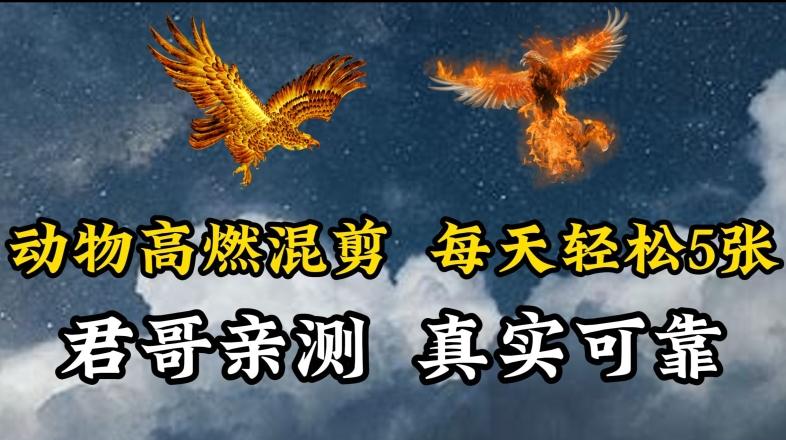 动物超燃混剪，每天轻松5张，剪辑简单大家爱看【揭秘】-天娱网创