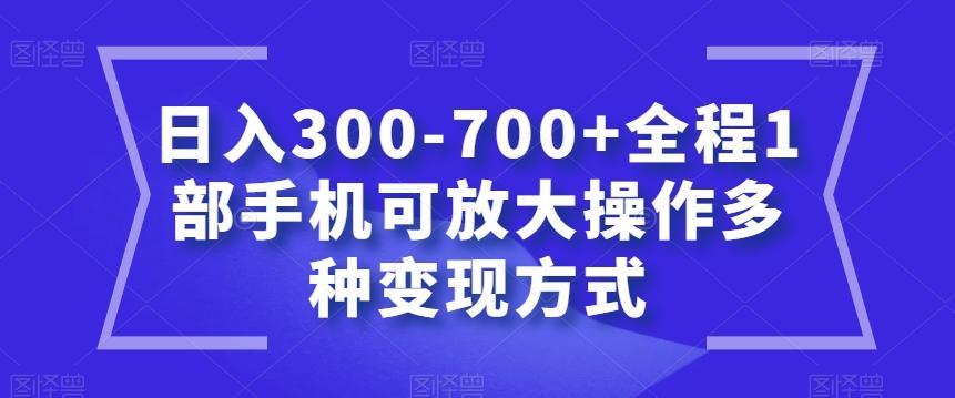 日入300-700+全程1部手机可放大操作多种变现方式【揭秘】-天娱网创