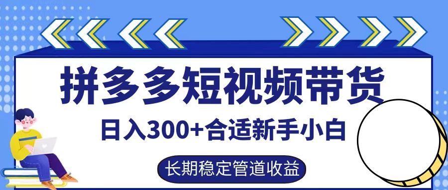 拼多多短视频带货日入300+，实操账户展示看就能学会-天娱网创