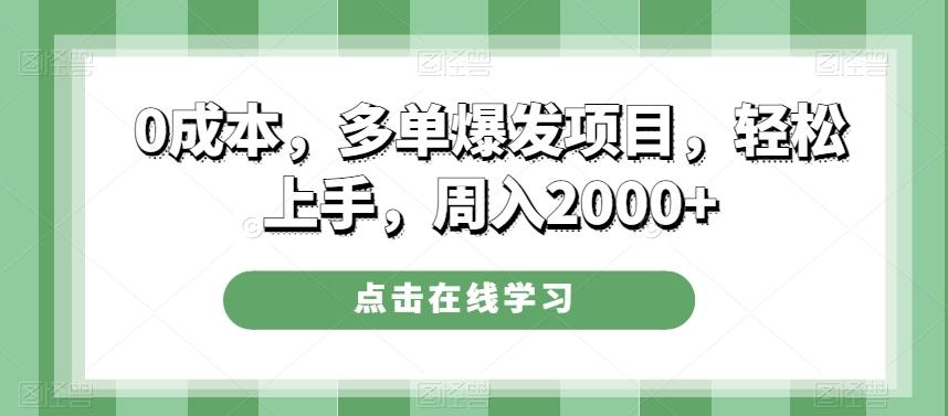 0成本，多单爆发项目，轻松上手，周入2000+-天娱网创