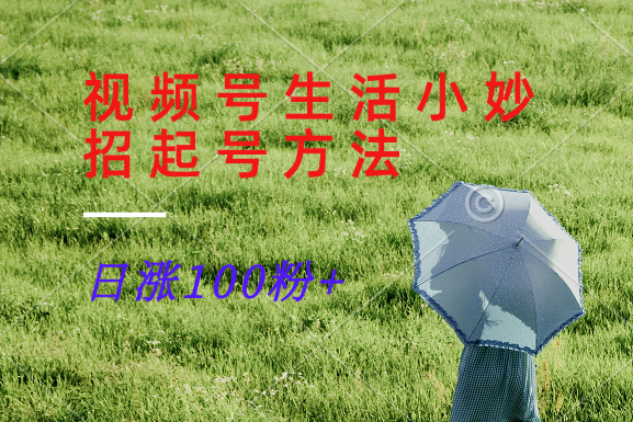 视频号生活小妙招分享赛道， 起号涨粉新方法，日涨100粉-天娱网创