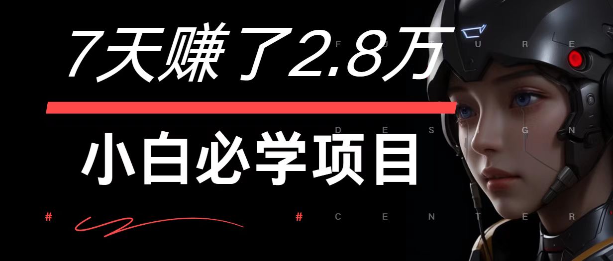 7天赚了2.8万！每单利润最少500+，轻松月入7万+小白有手就行-天娱网创