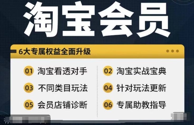 淘宝会员【淘宝所有课程，全面分析对手】，初级到高手全系实战宝典-天娱网创