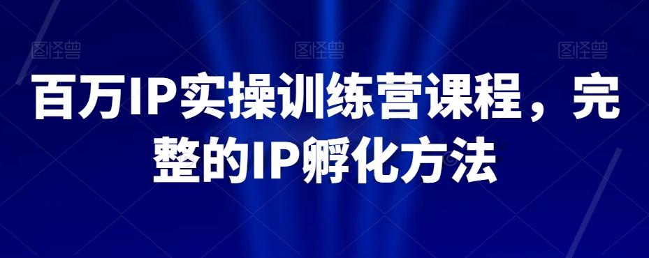 百万IP实操训练营课程，完整的IP孵化方法-天娱网创