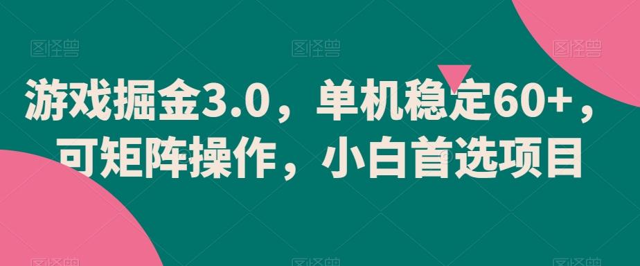 游戏掘金3.0，单机稳定60+，可矩阵操作，小白首选项目【揭秘】-天娱网创