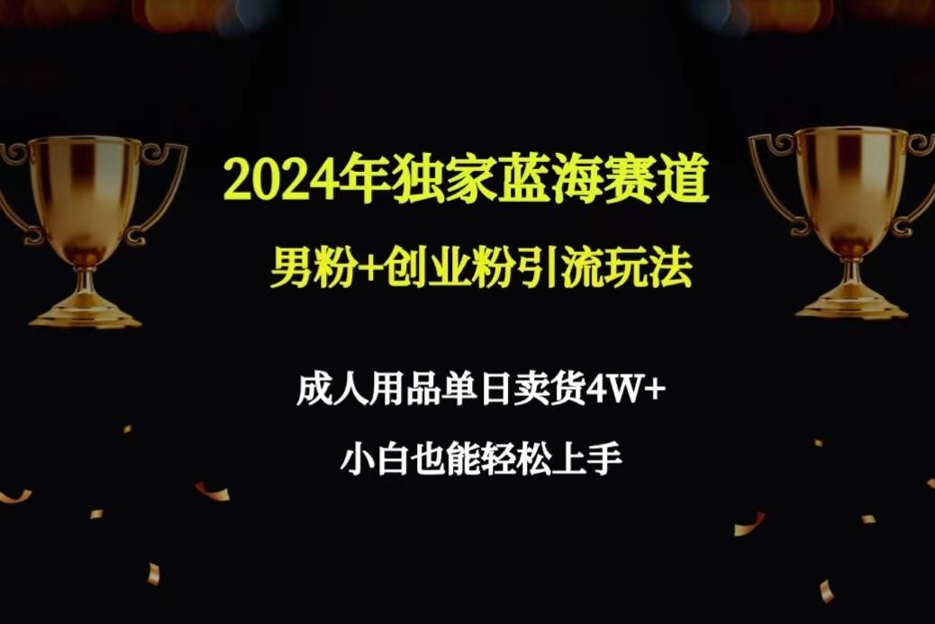 2024年独家蓝海赛道男粉+创业粉引流玩法，成人用品单日卖货4W+保姆教程-天娱网创
