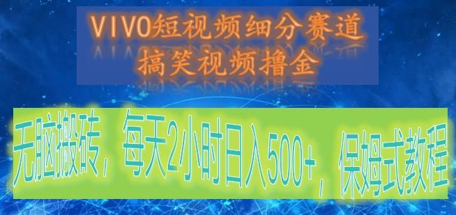 VIVO短视频细分赛道，搞笑视频撸金，无脑搬砖，每天2小时日入500+，保姆式教程-天娱网创