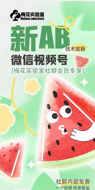 梅花实验室2024年AB技术视频号AB合成破解版-天娱网创