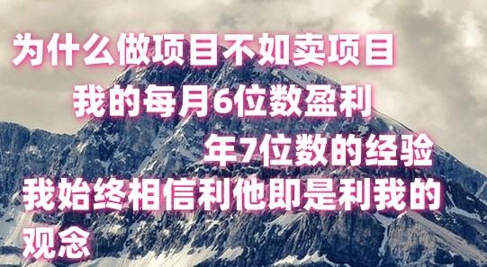 做项目不如卖项目，每月6位数盈利，年7位数经验-天娱网创