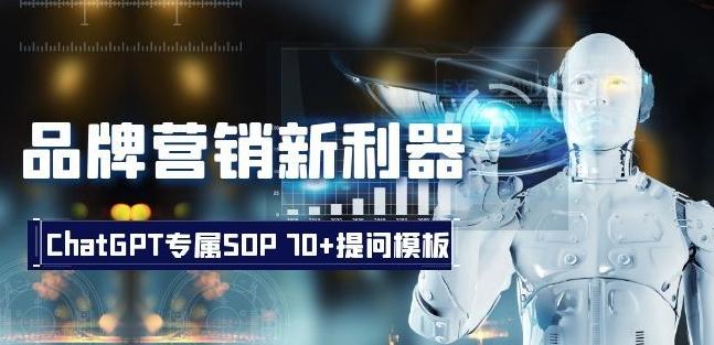品牌营销新利器：ChatGPT专属SOP，70+提问模板【文档】-天娱网创