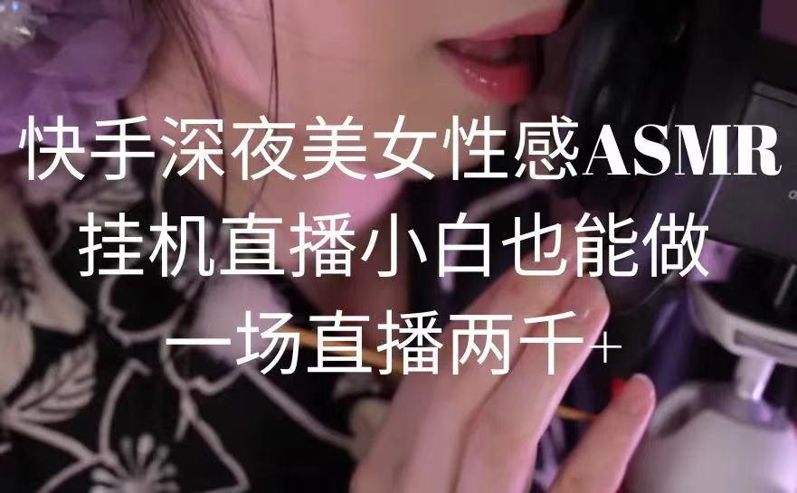 快手深夜美女性感ASMR挂机直播，小白也能做，一场直播两千+-天娱网创