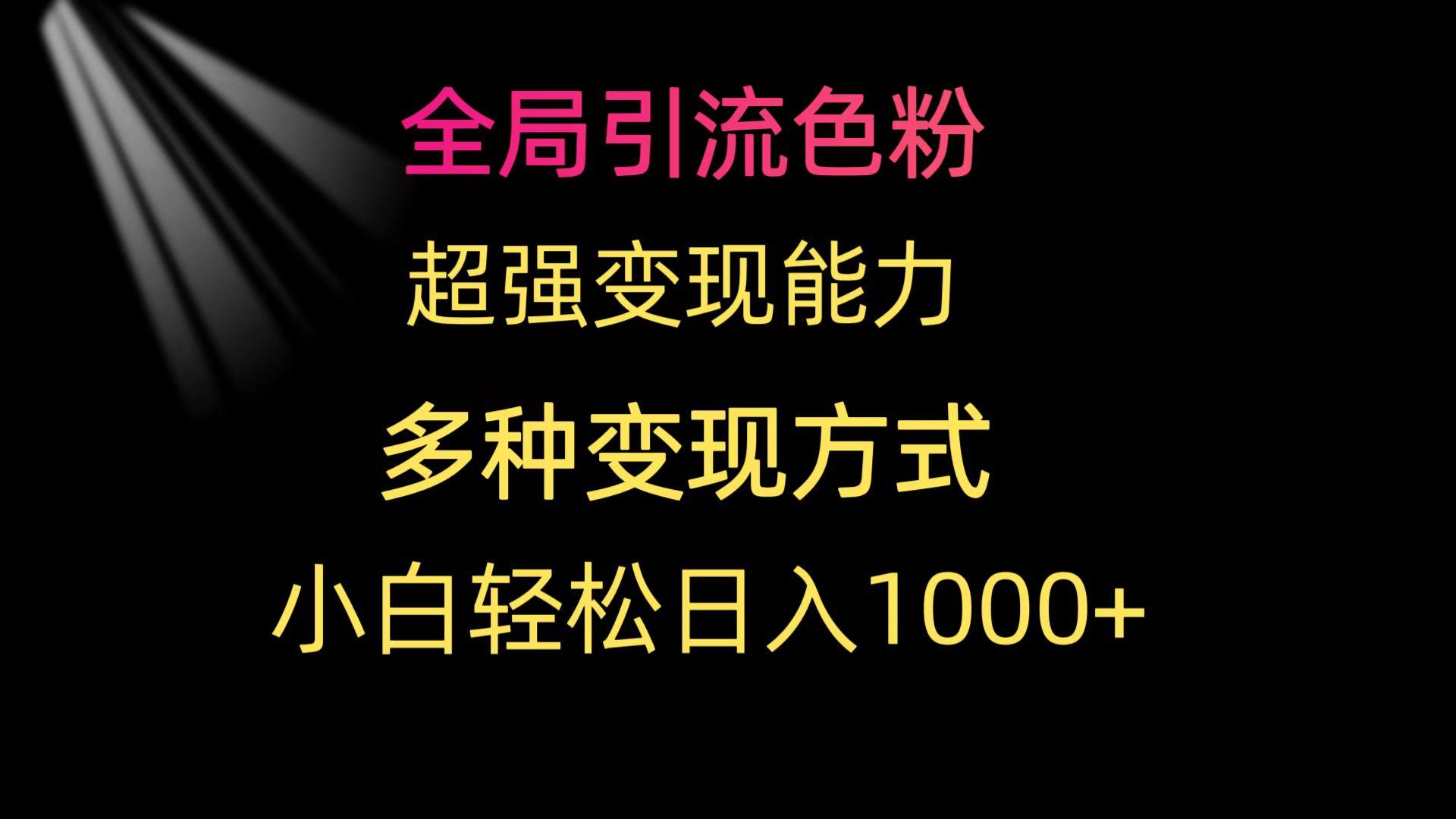 (9680期)全局引流色粉 超强变现能力 多种变现方式 小白轻松日入1000+-天娱网创