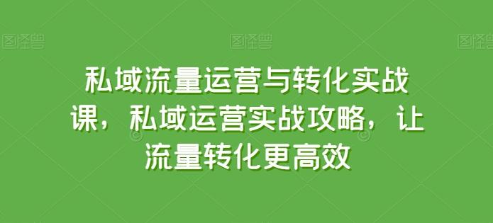 私域流量运营与转化实战课，私域运营实战攻略，让流量转化更高效-天娱网创