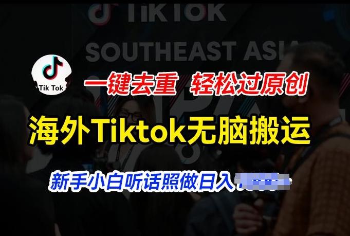 海外Tiktok短视频无脑搬运，一键去重轻松过原创，新手小白听话照做日入几张【揭秘】-天娱网创