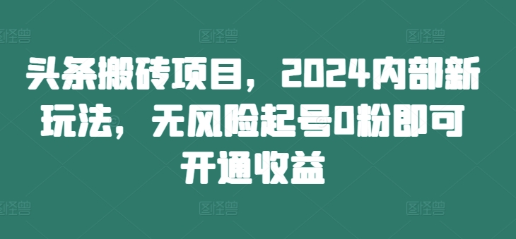 头条搬砖项目,2024内部新玩法,无风险起号0粉即可开通收益-天娱网创