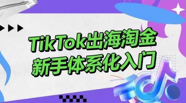 TikTok出海淘金，新手体系化入门，零基础快速入门，掌握短视频、直播带货等引流到变现的知识-天娱网创
