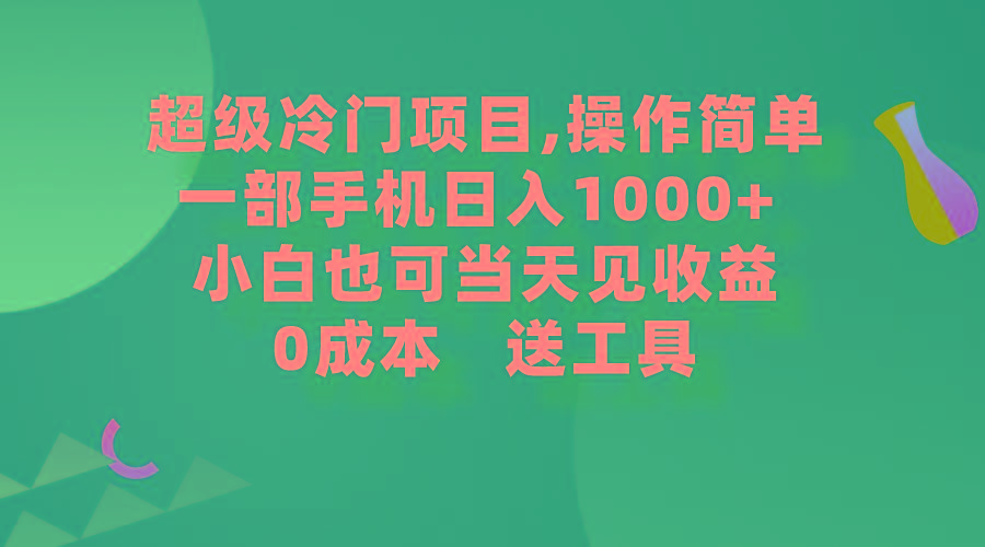 (9291期)超级冷门项目,操作简单，一部手机轻松日入1000+，小白也可当天看见收益-天娱网创