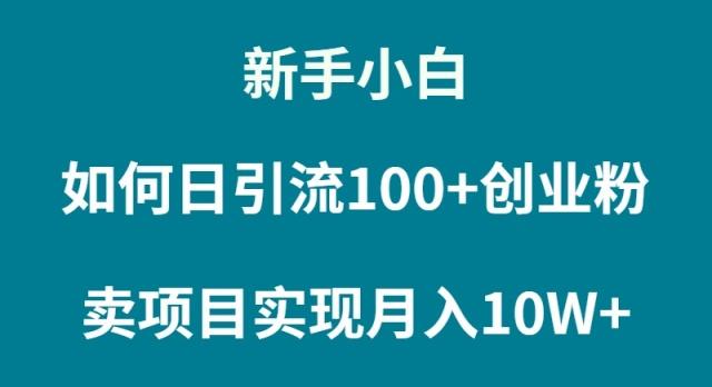 (9556期)新手小白如何通过卖项目实现月入10W+-天娱网创